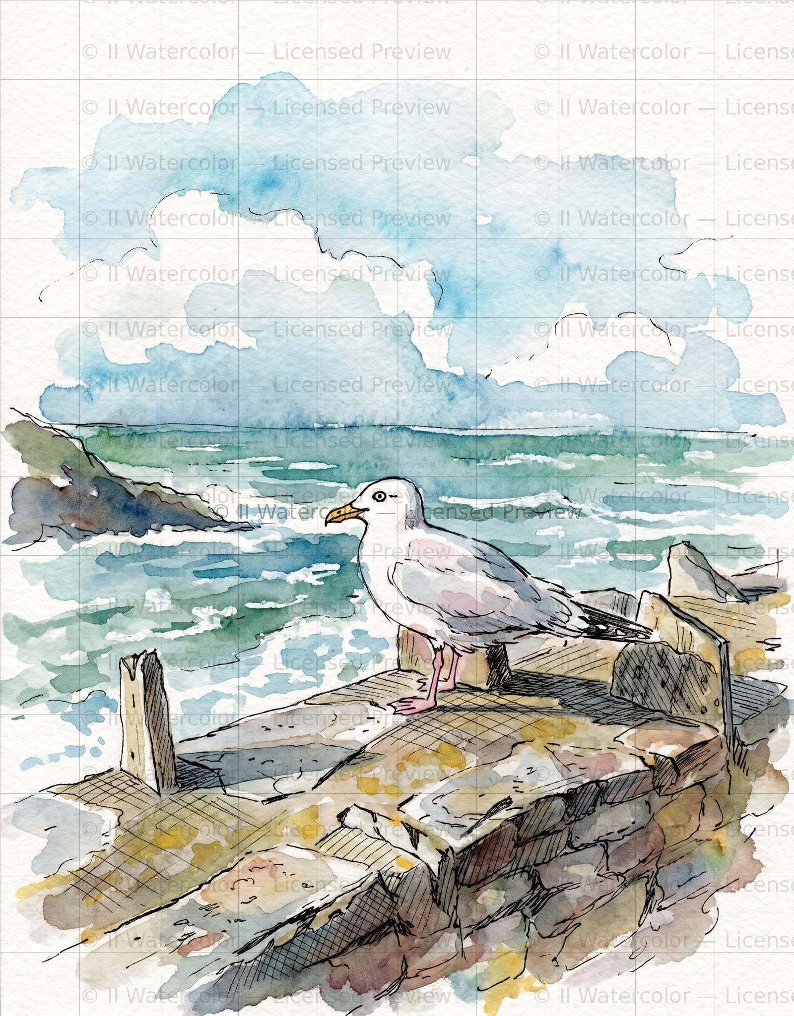 Bird